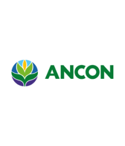 ancon-1.png