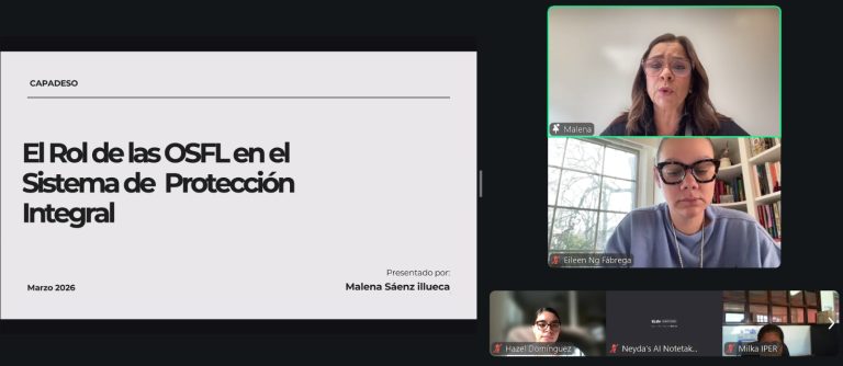 Conversatorio sobre el rol de las OSFL en la protección de niños, niñas y adolescentes