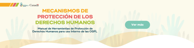 Manual: Mecanismos de Protección de los Derechos Humanos