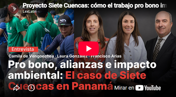 Marea Verde y Morgan & Morgan: alianzas con impacto a través del programa Pro Bono